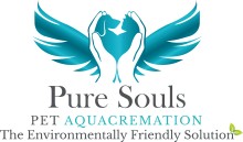 Pure Souls logo