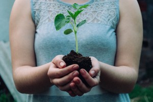 Woman holding a small plant in her hands